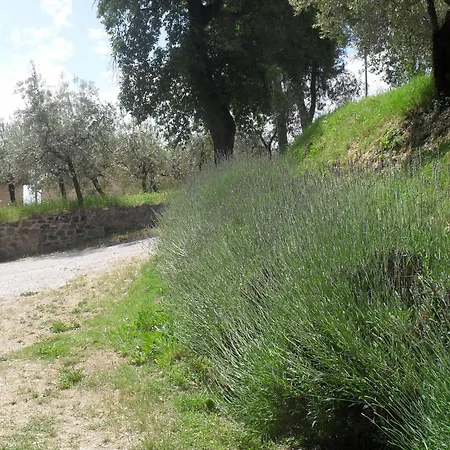 Holiday home In Gualdo Near Trasimeno