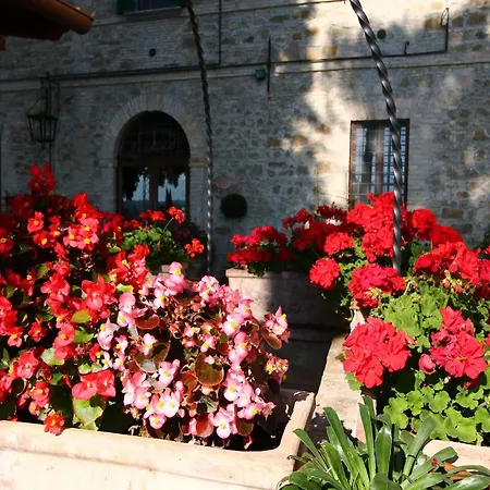 In Gualdo Near Trasimeno *
